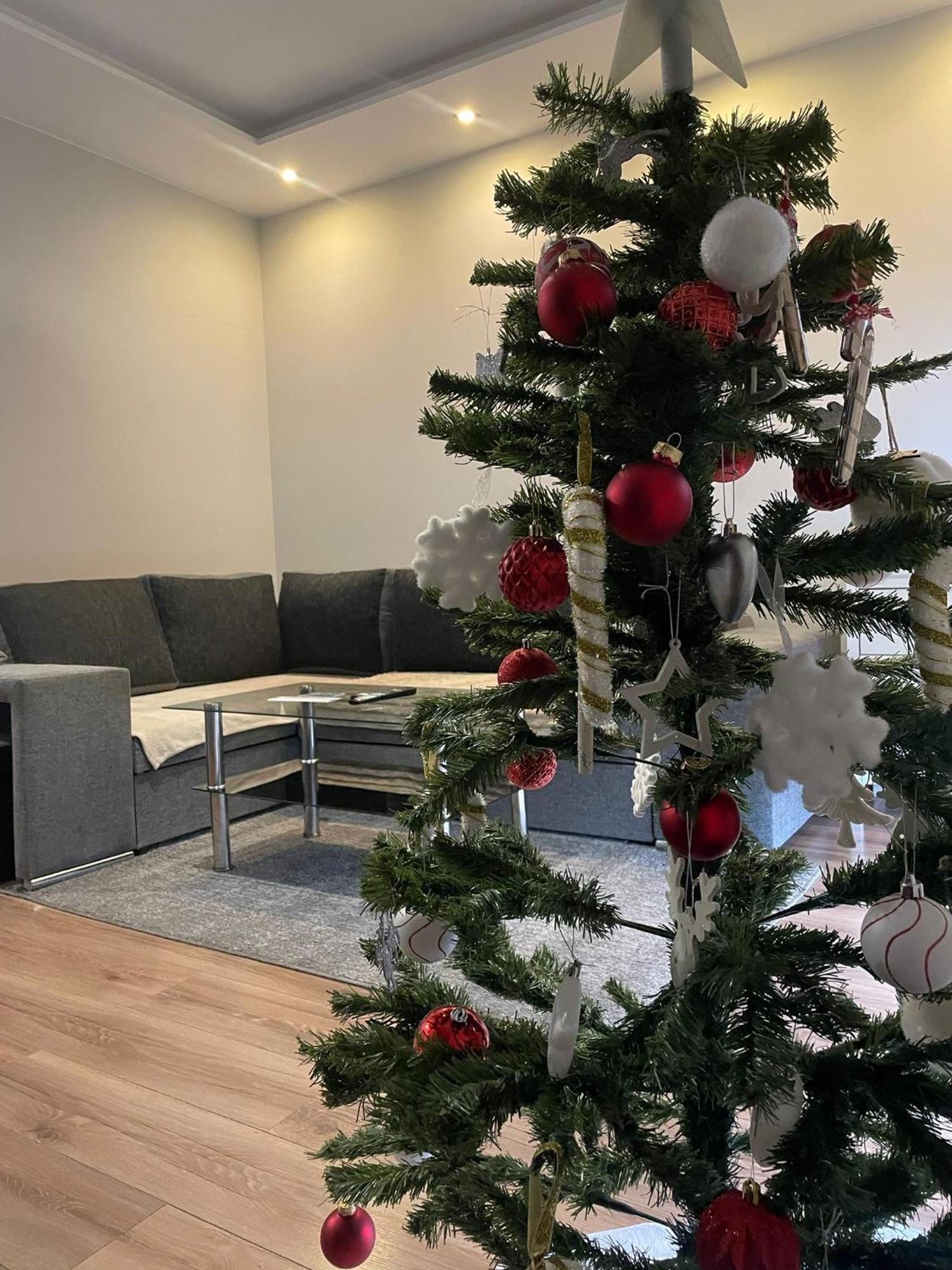 Apartament Laura Z Ogrodkiem Kielce Ngoại thất bức ảnh